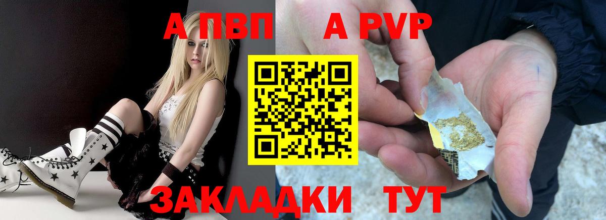 A-PVP СК Петропавловск-Камчатский