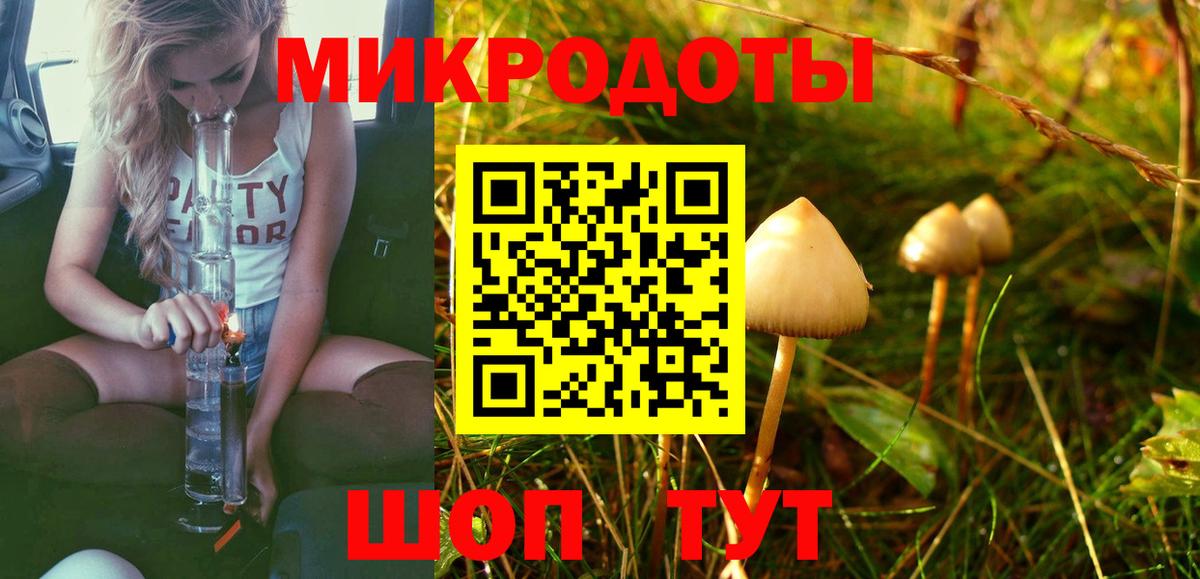 Псилоцибиновые грибы Cubensis Петропавловск-Камчатский