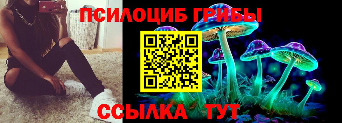 как найти наркотики  Галлюциногенные грибы ЛСД  Вход с VPN  Галлюциногенные грибы GOLDEN TEACHER  Петропавловск-Камчатский 